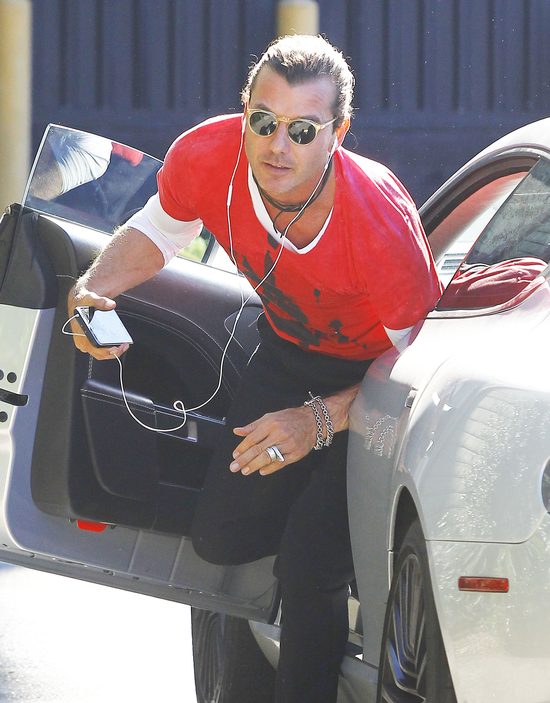 Gavin Rossdale nie wygląda na przybitego rozstaniem z Gwen