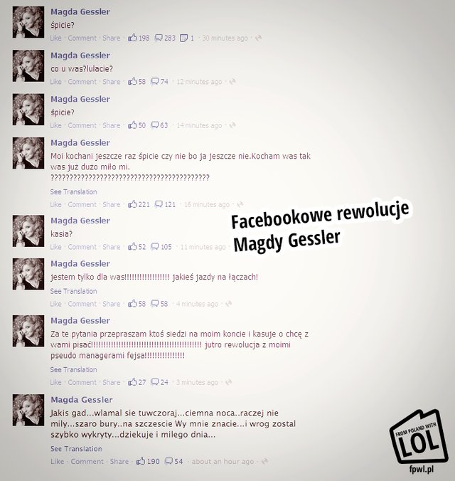 Szaro-bury gad na Facebooku Magdy Gessler