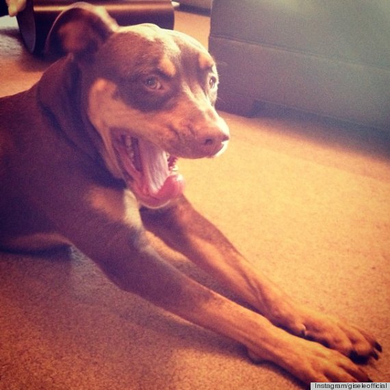 Prywatny raj Gisele Bundchen (FOTO)