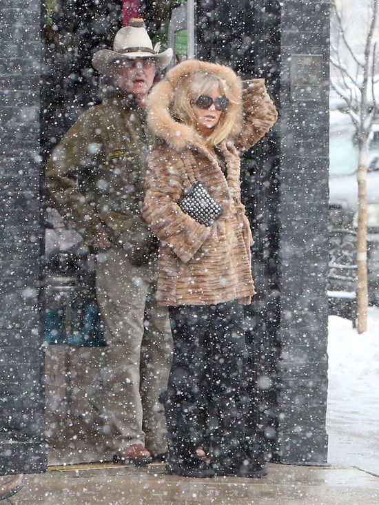 Gwiazdy na świątecznych zakupach (FOTO)  