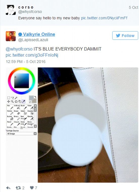 Ta torebka PODZIELIŁA Internautów! Jest niebieska, czy biała?