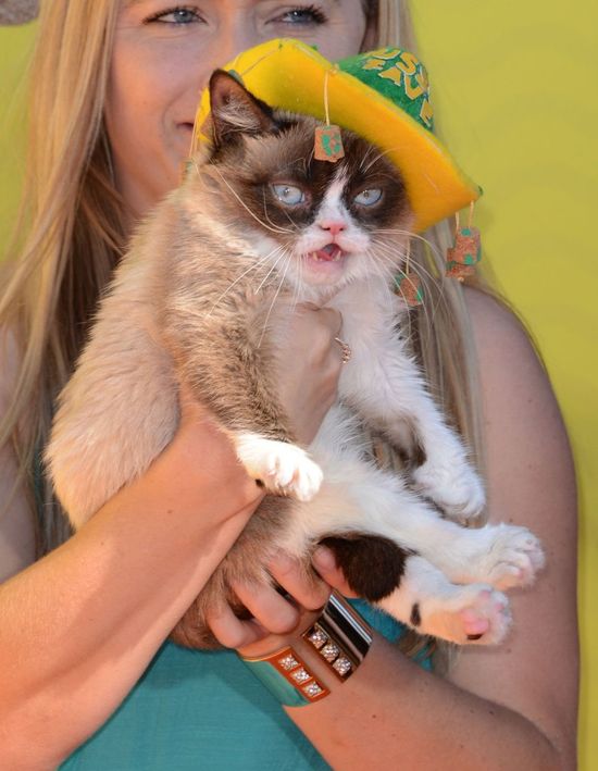 Gwiazdy na Kids' Choice Awards 2015 (FOTO) Gwiazdy na Kids' Choice Awards 2015 (FOTO)