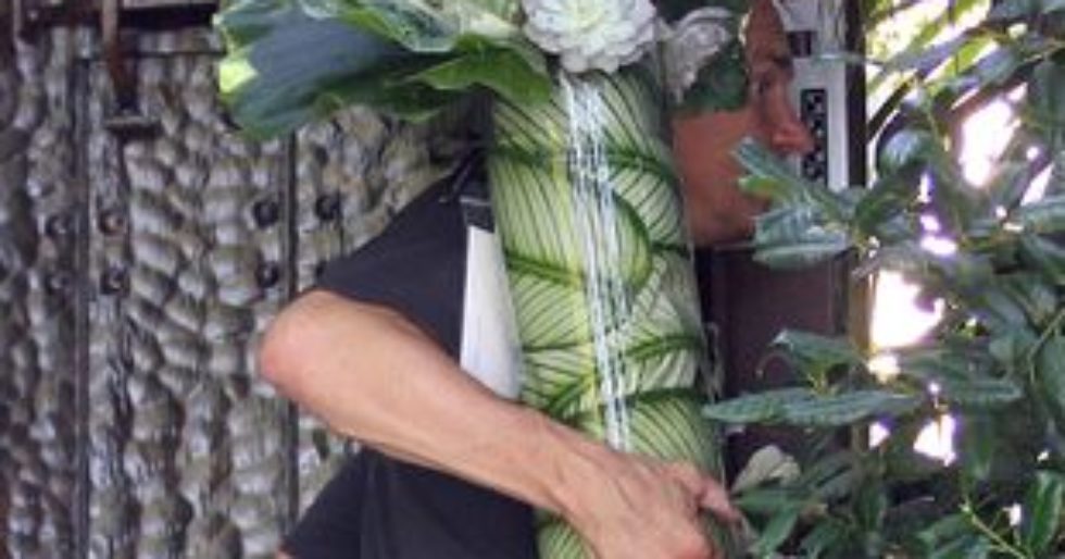 Dla kogo są te piękne kwiaty? (FOTO) Dla kogo są te piękne kwiaty? (FOTO)