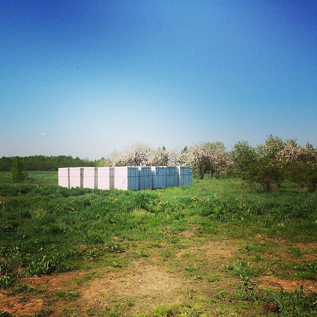 Honey pokazała miejsce, w którym buduje swój dom (FOTO)