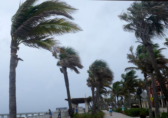 Huragan Irma jest już nad Florydą (ZDJĘCIA+VIDEO) Huragan Irma jest już nad Florydą (ZDJĘCIA+VIDEO)