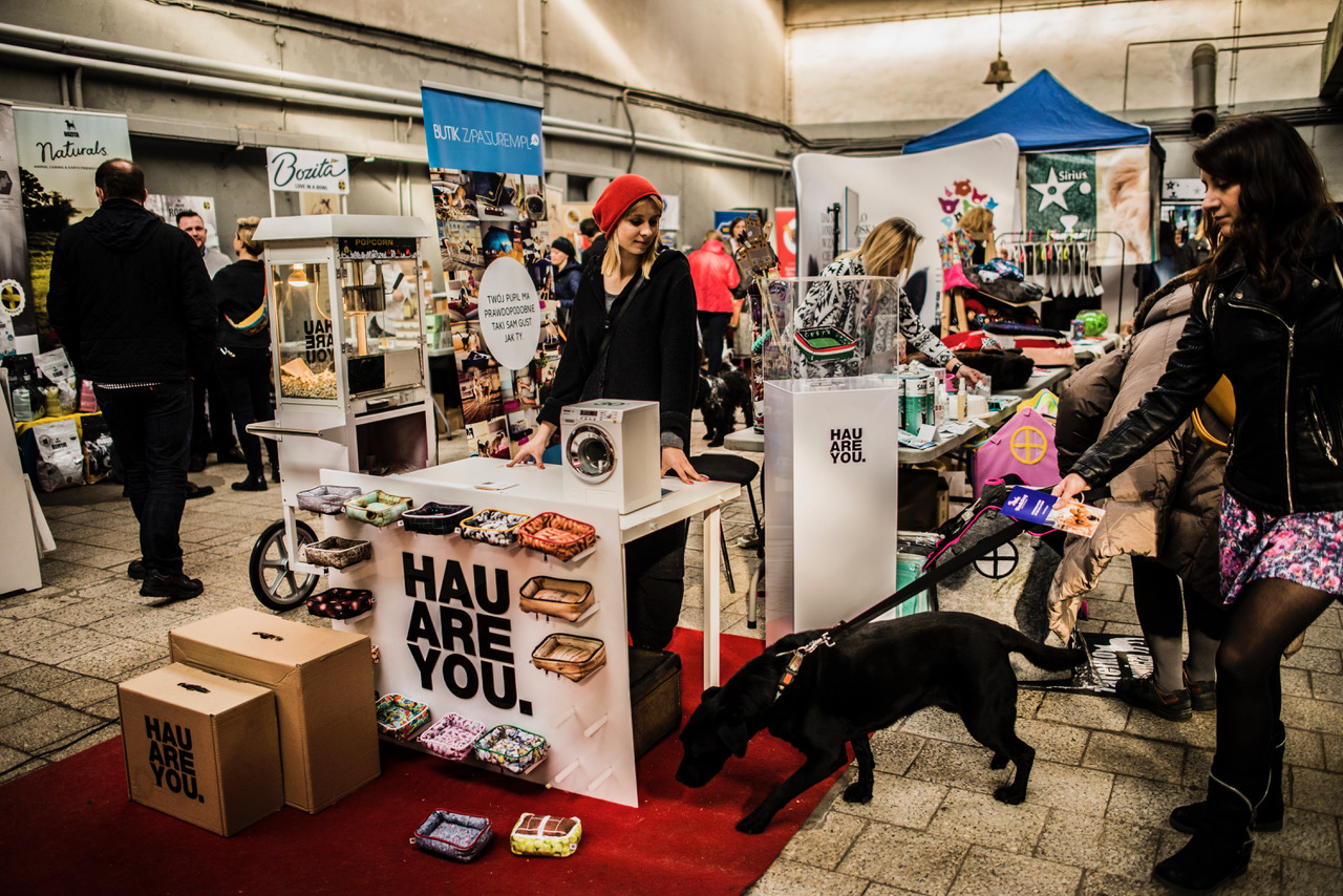 Akcja malowania bombek na rzecz zwierząt w schroniskach Akcja malowania bombek na rzecz zwierząt w schroniskach