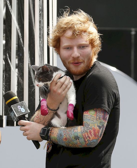 Ed Sheeran ma sobowtóra w postaci... dwuletniej dziewczynki!