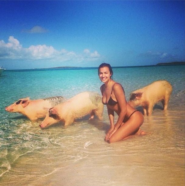Dziewczyna Cristiano Ronaldo pływa ze świniami! FOTO+VIDEO