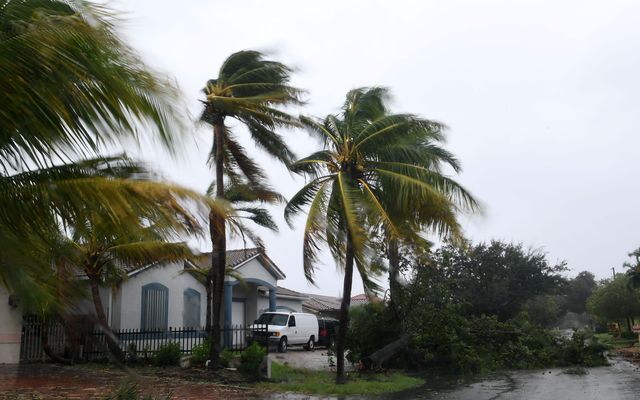 Tak wygląda Miami targane huraganem Irma (ZDJĘCIA) Tak wygląda Miami targane huraganem Irma (ZDJĘCIA)