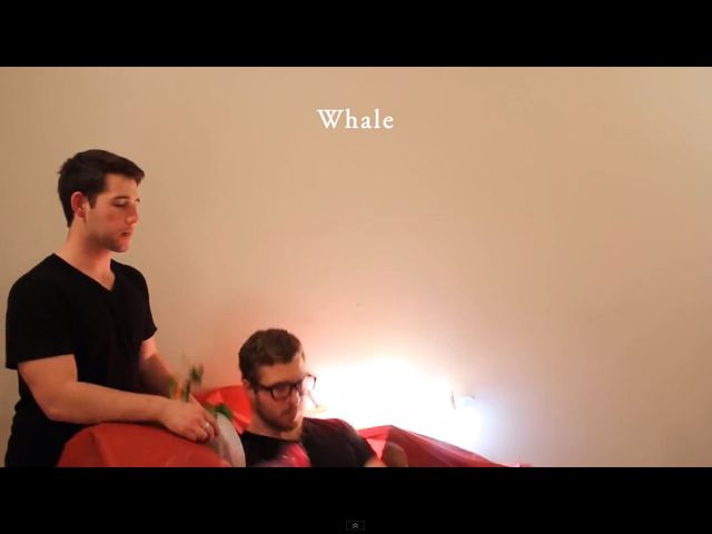 Chcecie się pośmiać? Zobaczcie, jak jedzą zwierzęta [VIDEO]