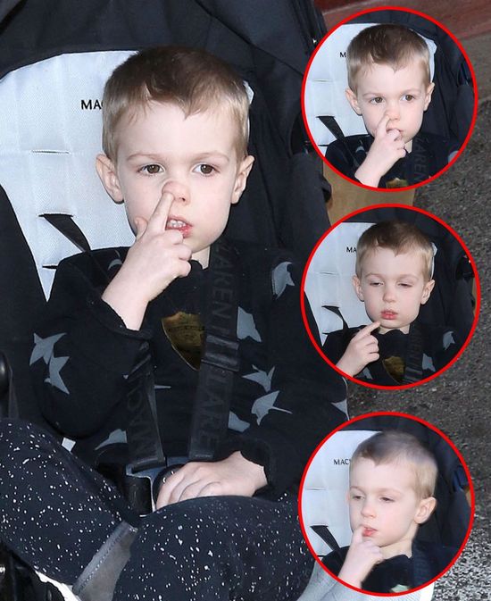 Co wydrapie, to zajada (FOTO)