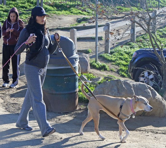 U Jenny Dewan już widać ciążowy brzuch (FOTO)