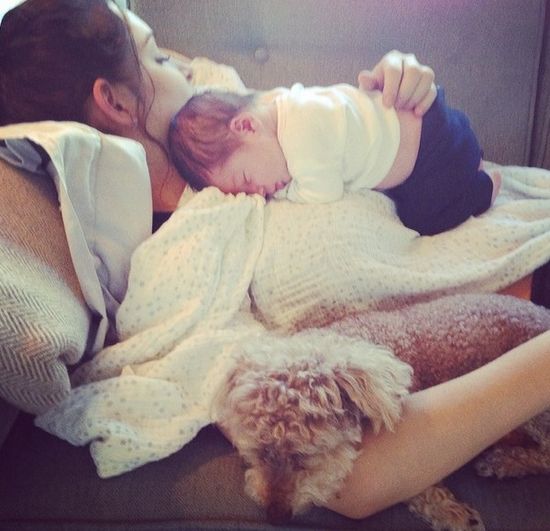 Jason Biggs pokaże filmik z obrzezania syna? Jason Biggs pokaże filmik z obrzezania syna?