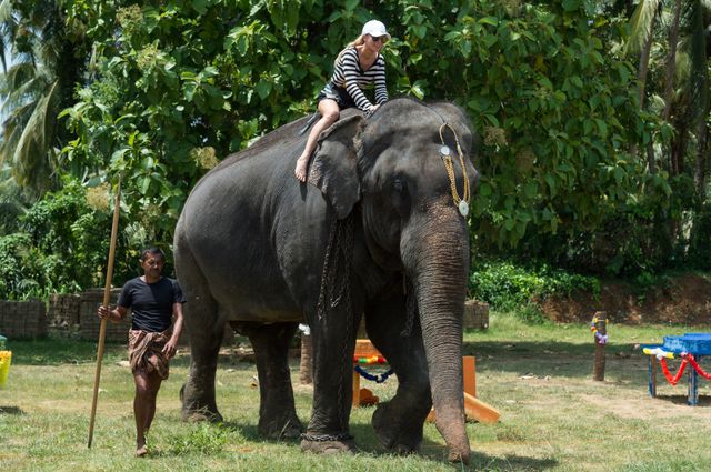 Mamy nowych Majdanów i nową Renulkę w Azji Express? 