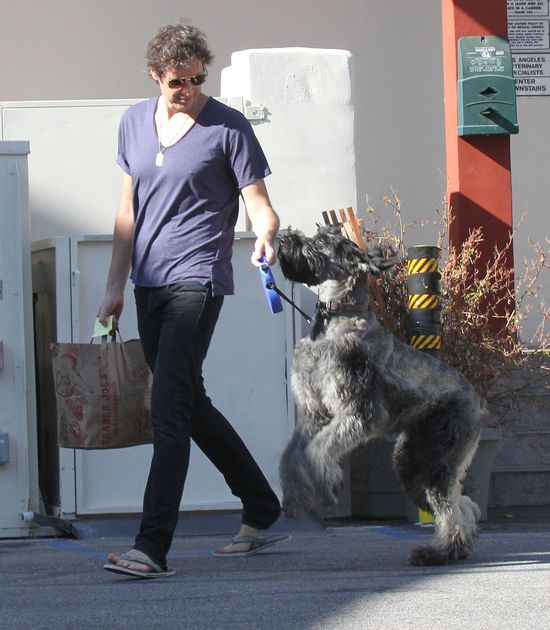 Która gwiazda pokazuje nogi? (FOTO)  