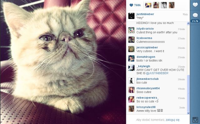 Nowe zwierzątko Justina Bieber'a