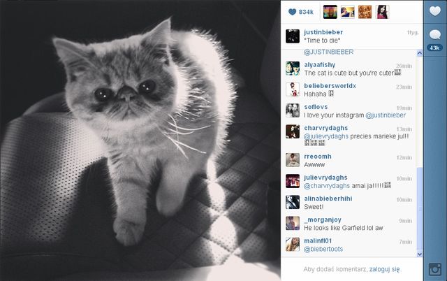 Nowe zwierzątko Justina Bieber'a