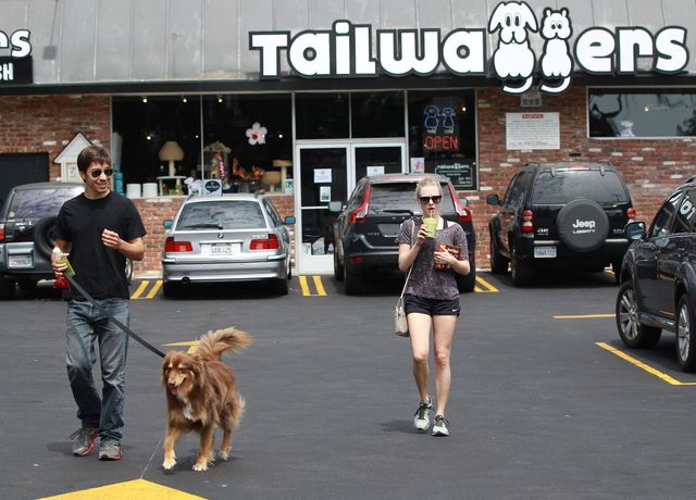 Amanda Seyfried i Justin Long na randce (FOTO)  