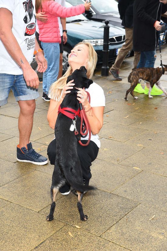 Joanna Krupa na czele pochodu miłośników psów (FOTO) Joanna Krupa na czele pochodu miłośników psów (FOTO)