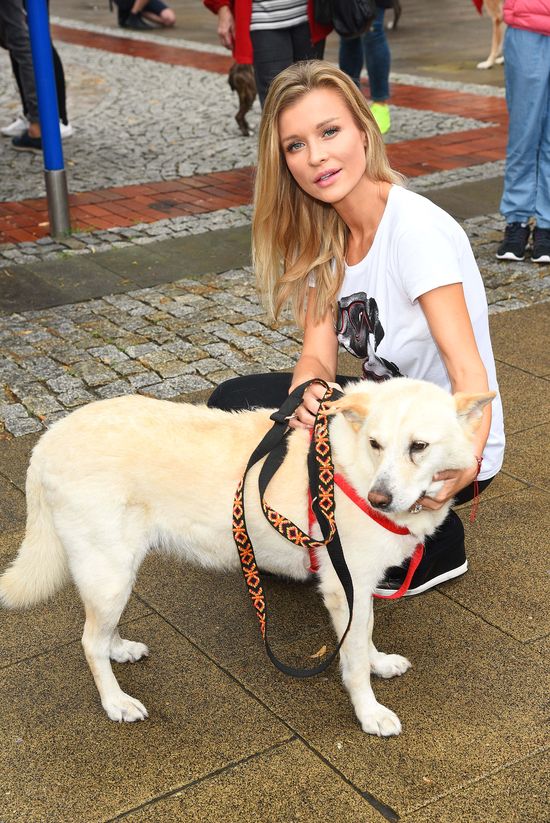 Joanna Krupa na czele pochodu miłośników psów (FOTO) Joanna Krupa na czele pochodu miłośników psów (FOTO)
