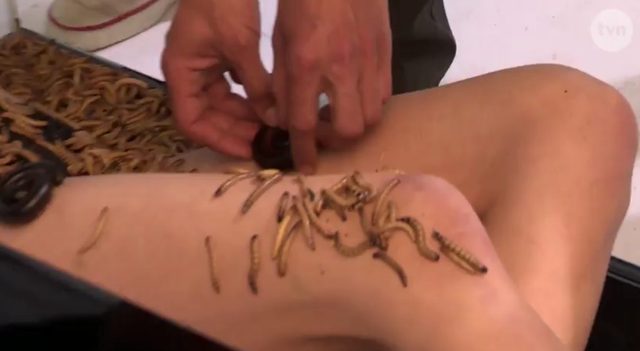 Karolina z Top Model pozuje cała w... ROBAKACH! Karolina z Top Model pozuje cała w... ROBAKACH!