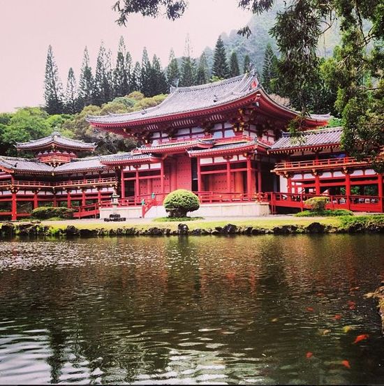 Chris Brown zabrał Karrueche Tran na Hawaje (FOTO) Chris Brown zabrał Karrueche Tran na Hawaje (FOTO)