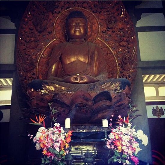 Chris Brown zabrał Karrueche Tran na Hawaje (FOTO) Chris Brown zabrał Karrueche Tran na Hawaje (FOTO)