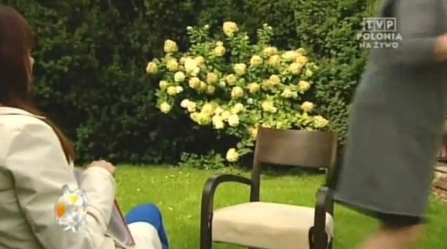 Katarzyna Figura przerywa wywiad [VIDEO]