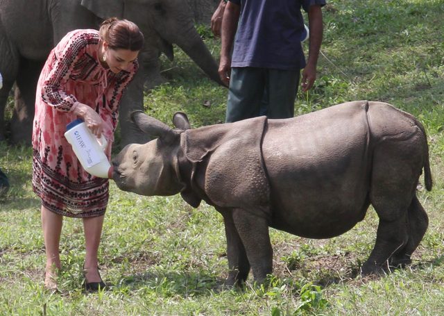 Kate Middleton zdradziła, jak udało się jej schudnąć po ciąży Kate Middleton zdradziła, jak udało się jej schudnąć po ciąży