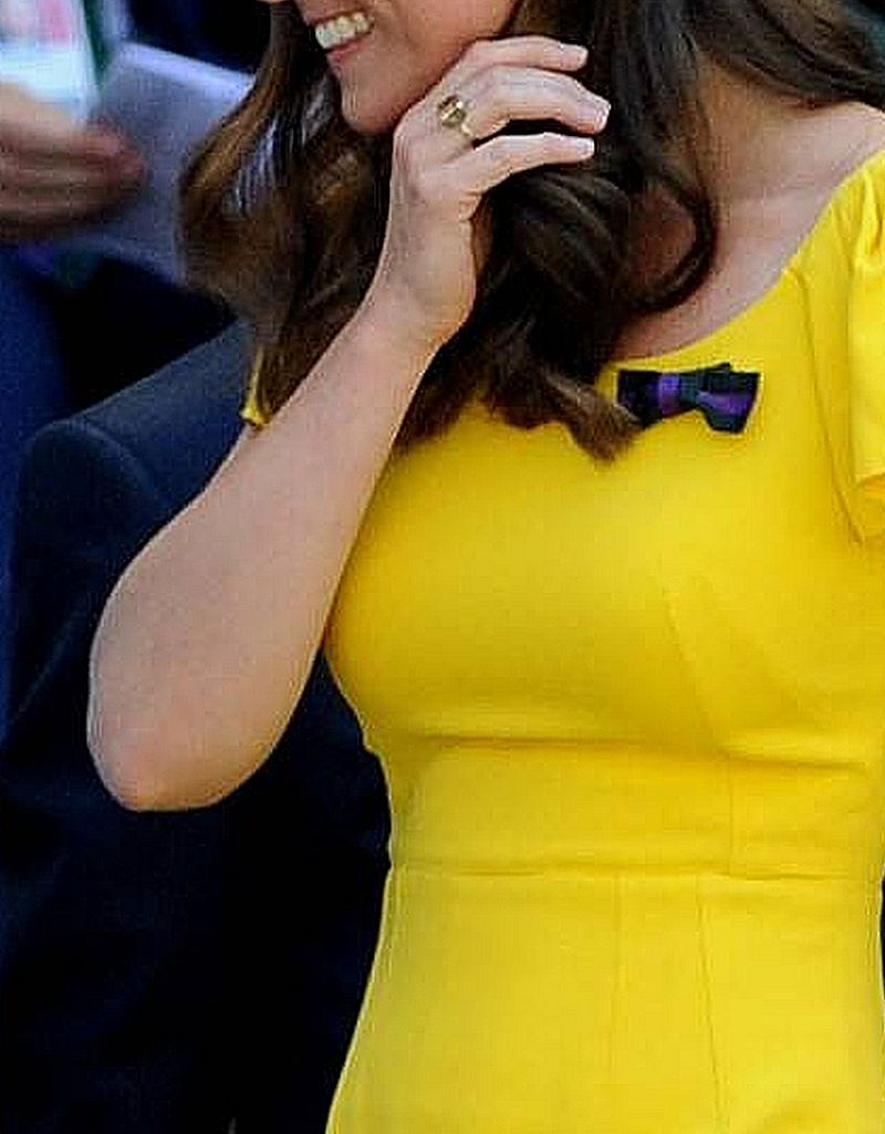 Księżna Kate dostała od Williama PIĘKNY prezent z okazji narodzin Louisa