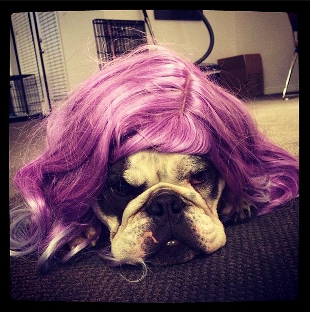 Kelly Osbourne w nowej fryzurze i bez makijażu (FOTO)