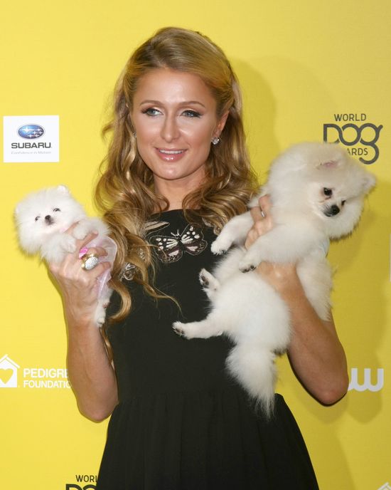 Paris Hilton reklamuje produkty... Lidla! (VIDEO) Paris Hilton reklamuje produkty... Lidla! (VIDEO)