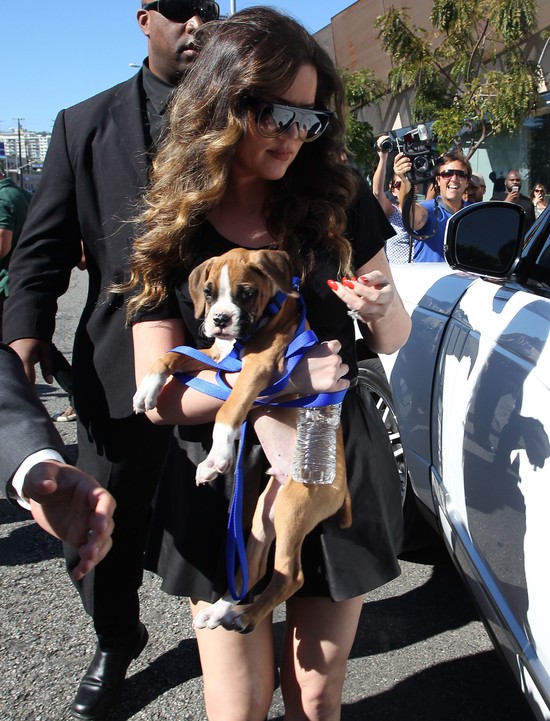 Kim Kardashian i siostry zrobiły cyrk przed sklepem (FOTO)