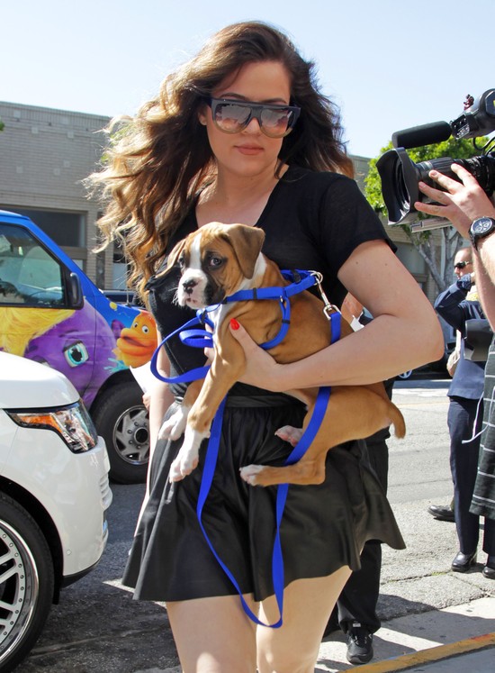 Kim Kardashian i siostry zrobiły cyrk przed sklepem (FOTO)