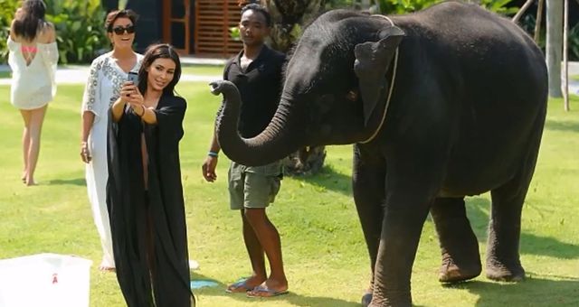 Słoń zrobił Kim Kardashian Prima Aprilis (FOTO)