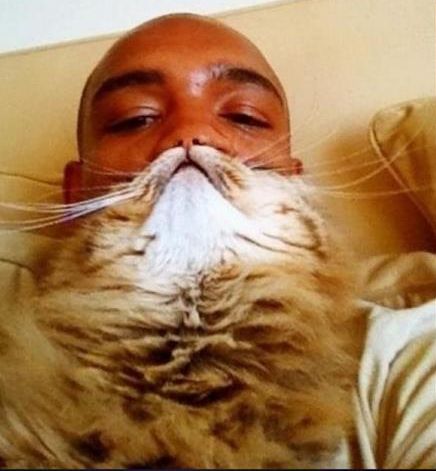 Moda na brodę z kota lub psa Moda na brodę z kota lub psa