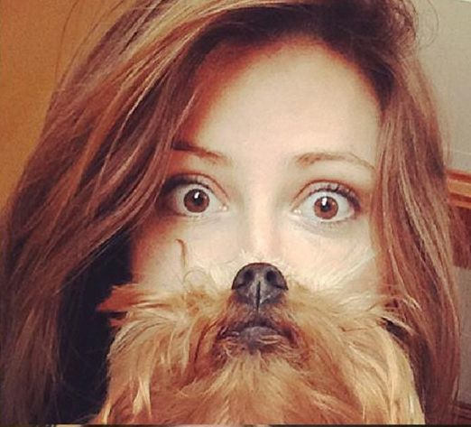 Moda na brodę z kota lub psa Moda na brodę z kota lub psa