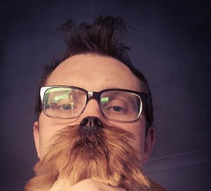 Moda na brodę z kota lub psa Moda na brodę z kota lub psa