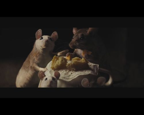 Nowy Kopciuszek jest... cool? [VIDEO]