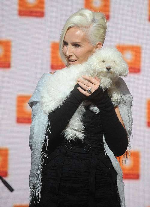 Kora, Kazik, Kukiz, Skiba – zamienili bunt... 