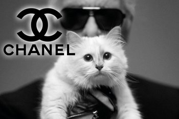 Karl Lagerfeld całuje swoją Choupette (FOTO)
