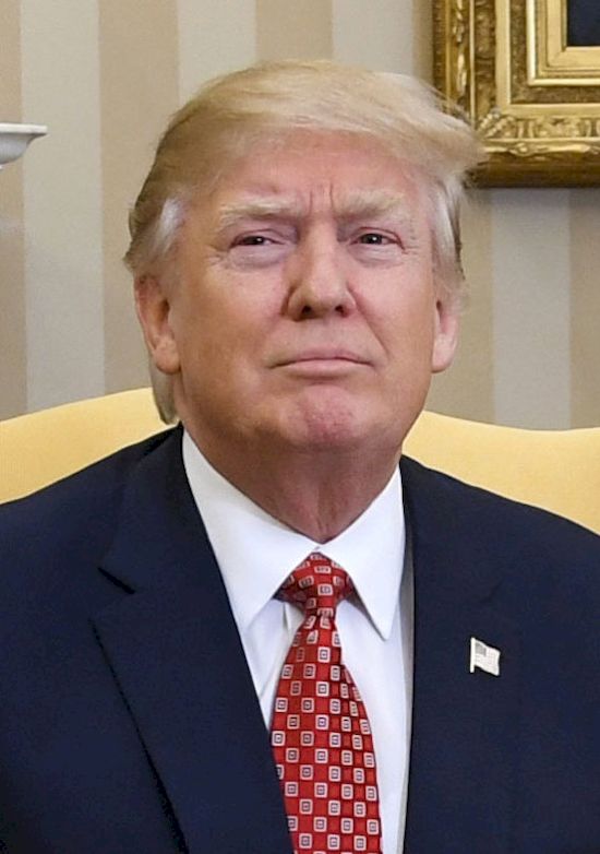 Lindsay Lohan BRONI Donalda Trumpa przed hejterami!