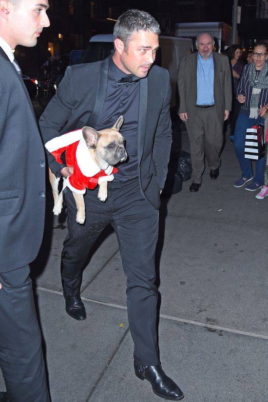 Miny tych psów mówią wszystko (FOTO)