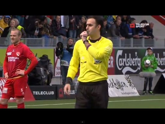 Łasica sterroryzowała piłkarzy podczas meczu [VIDEO]