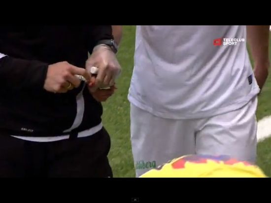 Łasica sterroryzowała piłkarzy podczas meczu [VIDEO]