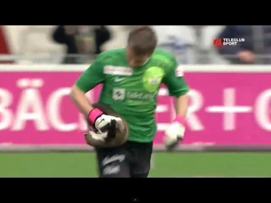 Łasica sterroryzowała piłkarzy podczas meczu [VIDEO]