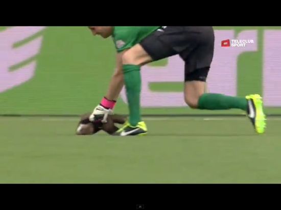 Łasica sterroryzowała piłkarzy podczas meczu [VIDEO]