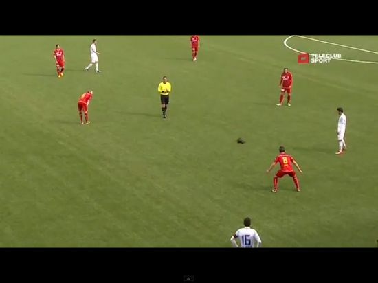 Łasica sterroryzowała piłkarzy podczas meczu [VIDEO]