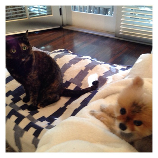 Przygarnęła pieska, żeby łatwiej przetrwać żałobę