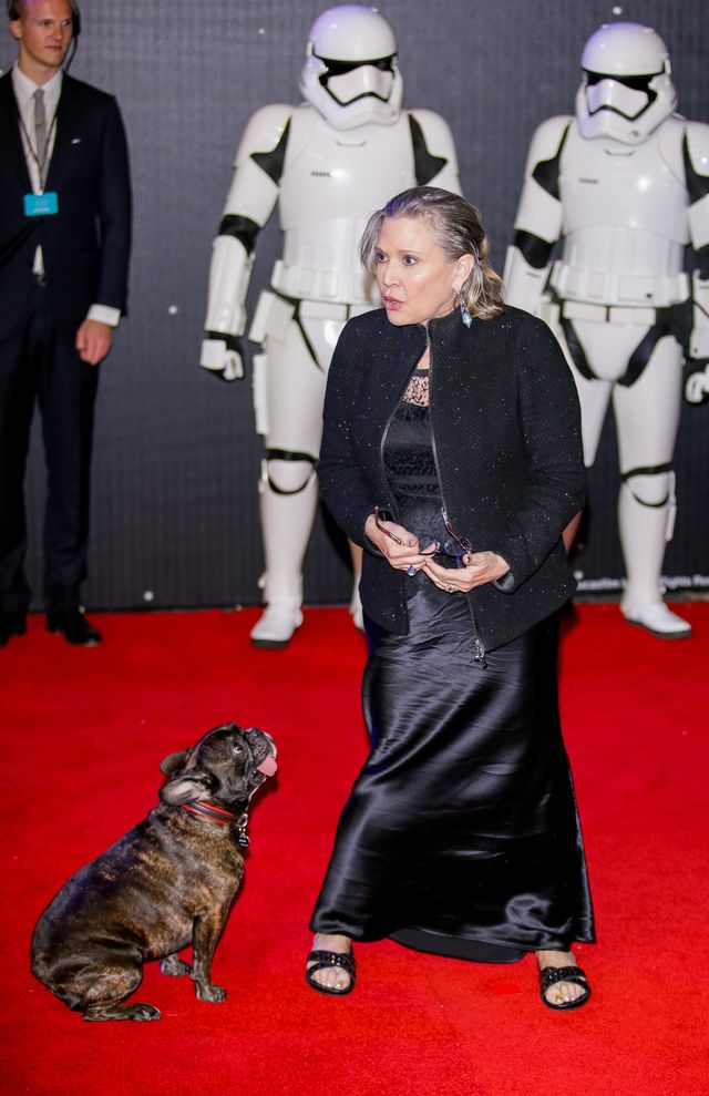 Carrie Fisher, księżniczka Leia z Gwiezdnych wojen, nie żyje Carrie Fisher, księżniczka Leia z Gwiezdnych wojen, nie żyje